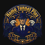 تنزيل برنامج Hamo Tunnel Plus